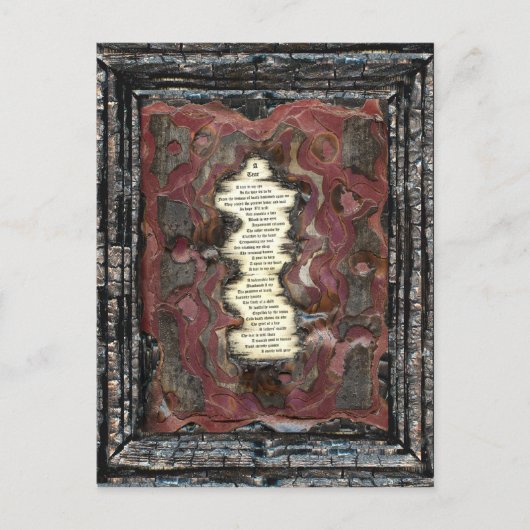 Een scheur briefkaart (Voorkant)