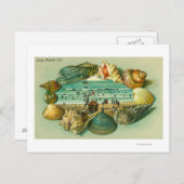 Een Schilderachtig Uitzicht aan de grens met zeesc Briefkaart (Voorkant / Achterkant)