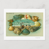 Een Schilderachtig Uitzicht aan de grens met zeesc Briefkaart (Voorkant)