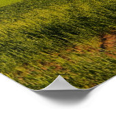 Een schilderachtig uitzicht van een schuur in Mosk Poster (Hoek)