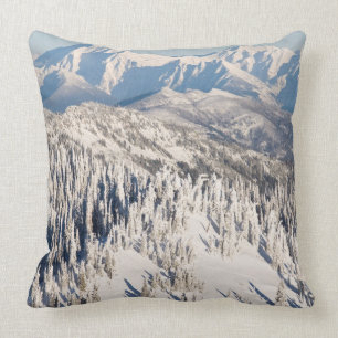 Een Schilderachtig Uitzicht van Snowy Mountains an Kussen