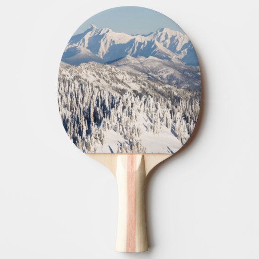 Een Schilderachtig Uitzicht van Snowy Mountains an Tafeltennisbatje (Voorkant)