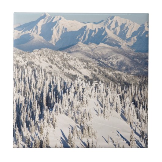 Een Schilderachtig Uitzicht van Snowy Mountains an Tegeltje (Voorkant)