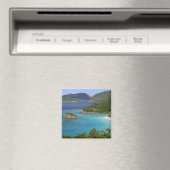 Een schilderachtig van Caneel Bay van een weg bij  Magneet (Insitu (Vaatwasser))