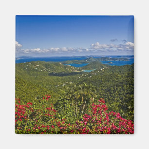 Een schilderachtig van Cruse Bay, St. John U.S Vir Magneet