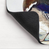 Een schilderij van een eend van Aert Schouman Muismat (Hoek)