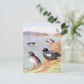 Een schilderij van Rhinoceros Auklets en Pigeon Uu Briefkaart (Staand voorkant)