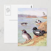 Een schilderij van Rhinoceros Auklets en Pigeon Uu Briefkaart (Voorkant / Achterkant)