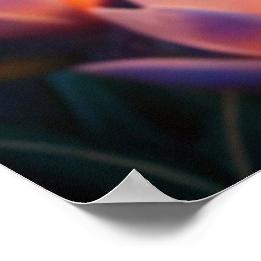 Een schildpad poster (Hoek)