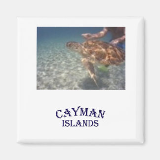 Een schildpad voeden magneet