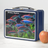 Een school van Neon (In situ)