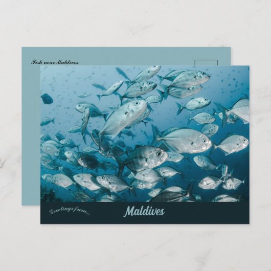 Een school vissen in de buurt van de Malediven Briefkaart (Voorkant / Achterkant)