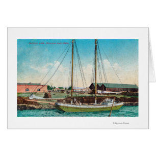 Een Schooner ScenePetaluma, CA