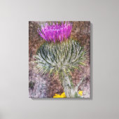 Een Schots Thistle Canvas Afdruk (Voorkant)