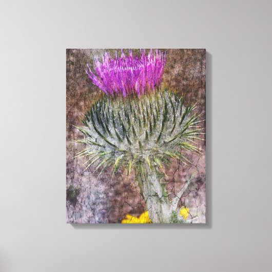 Een Schots Thistle Canvas Afdruk (Voorkant)
