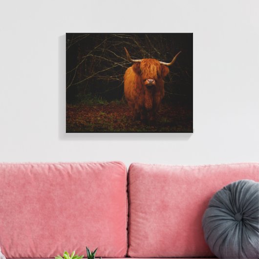 Een Schotse hoogland-Koe Canvas Afdruk (Insitu (Woonkamer))