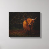 Een Schotse hoogland-Koe Canvas Afdruk (Voorkant)