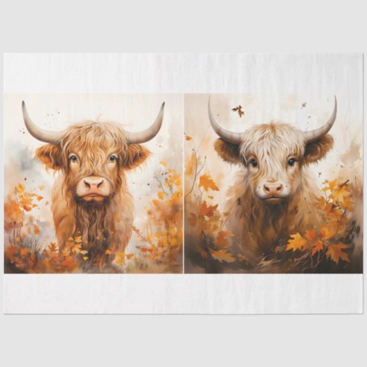 Een Schotse Hooglanders Koe Ontwerp Collectie 2 Tissuepapier (Voorkant)