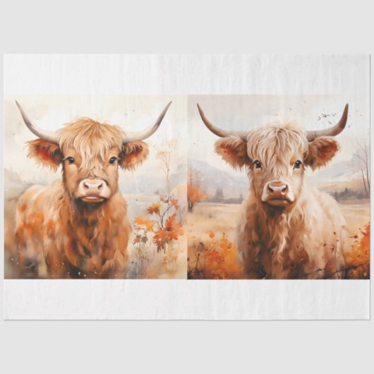 Een Schotse Hooglanders Koe Ontwerp Collectie 3 Tissuepapier (Voorkant)