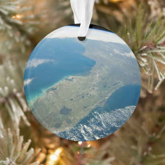 Een schuine Florida, aan de zuidoostelijke kust Ornament (Boom)