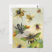 Een schuine rand van mooie bijen Briefkaarten (Voorkant / Achterkant)