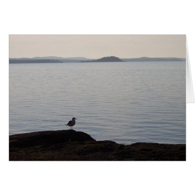 Een Seagull Dreams (Voorkant Horizontaal)