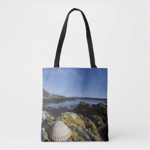 Een Seashell zit op een rots Dumfries, Schotland Tote Bag