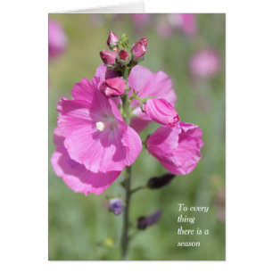 Een seizoen en tijd Hollyhock