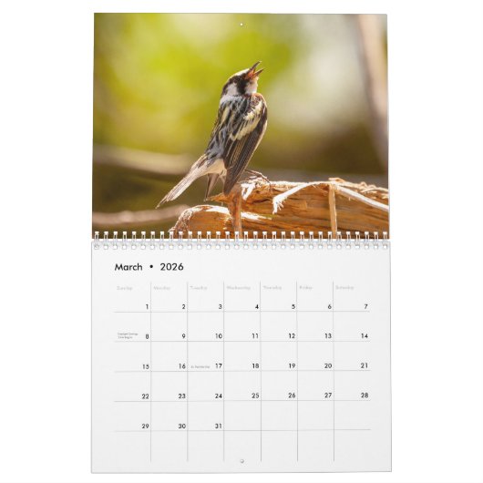 Een seizoen in Shenandoah Nat. Park Raven Version Kalender (Mar 2026)