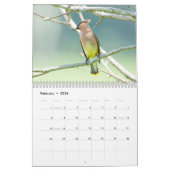 Een seizoen in Shenandoah Nat. Park Raven Version Kalender (Feb 2026)