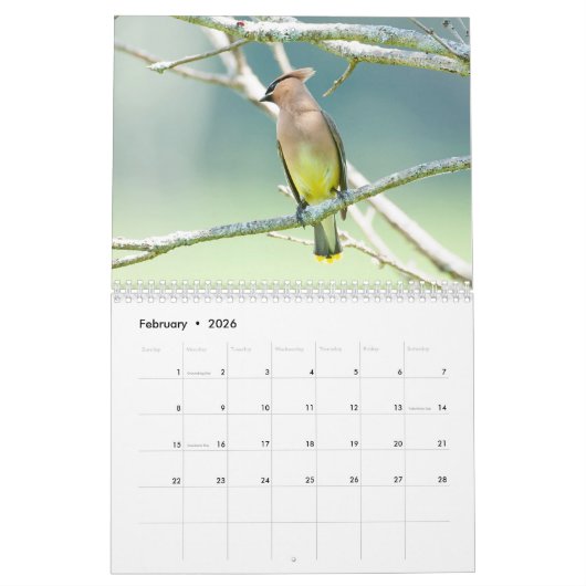 Een seizoen in Shenandoah Nat. Park Raven Version Kalender (Feb 2026)
