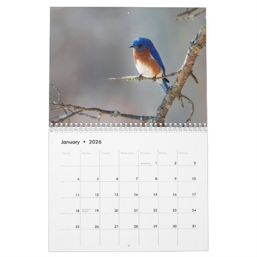 Een seizoen in Shenandoah Nat. Park Raven Version Kalender (Jan 2026)