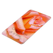 Eén seizoen per keer per Roos Magneet (Linkerzijde)