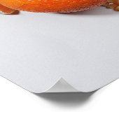 Een selectie van oranje groenten en fruit. poster (Hoek)