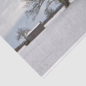 Een Sentinel-boom die de winterschuren op een stil Tissuepapier (Detail)