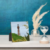 Een Sentinel Rising Fotoplaat (Insitu)