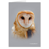 Een Serene en een mooie Barn Owl (Voorkant)