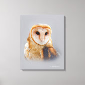 Een Serene en een mooie Barn Owl Canvas Afdruk (Voorkant)