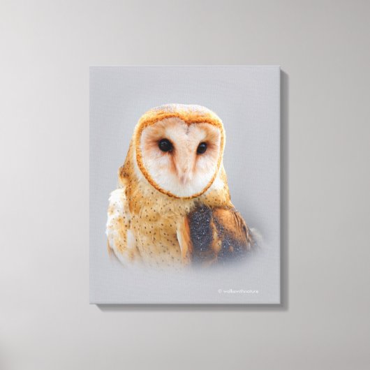 Een Serene en een mooie Barn Owl Canvas Afdruk (Voorkant)