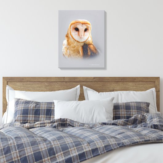 Een Serene en een mooie Barn Owl Canvas Afdruk (Insitu (Slaapkamer))