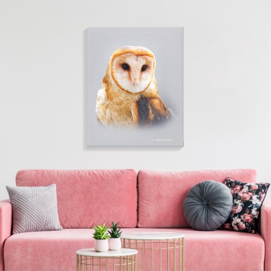 Een Serene en een mooie Barn Owl Canvas Afdruk (Insitu (Woonkamer))