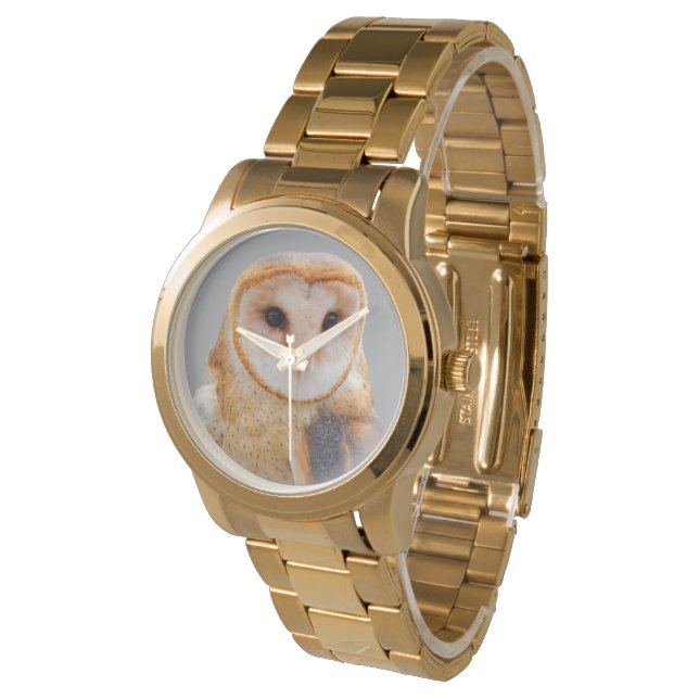 Een Serene en een mooie Barn Owl Horloge (Gekanteld)