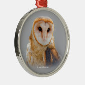 Een Serene en een mooie Barn Owl Metalen Ornament (Rechts)