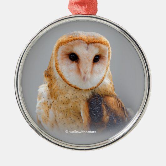 Een Serene en een mooie Barn Owl Metalen Ornament (Voorkant)
