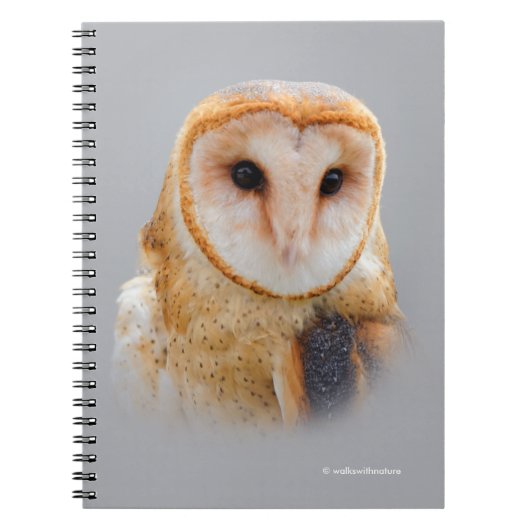 Een Serene en een mooie Barn Owl Notitieboek (Voorkant)