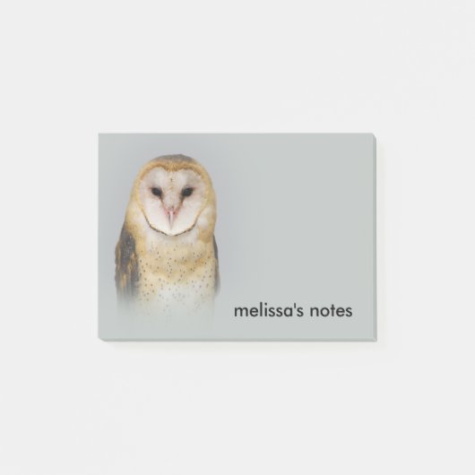 Een Serene en een mooie Barn Owl Post-it® Notes (Voorkant)