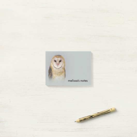 Een Serene en een mooie Barn Owl Post-it® Notes (Op bureau)