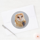 Een Serene en een mooie Barn Owl Ronde Sticker (Envelop)