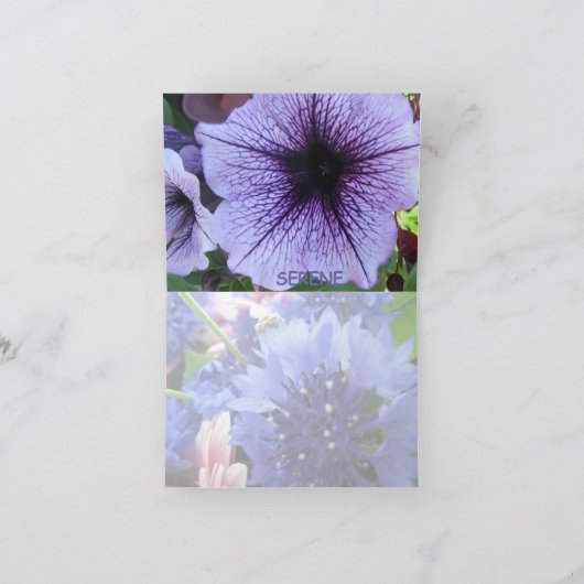 Een Serene Pansy Garden kaart (Binnen)