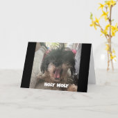 EEN SERIEUZE HOND ZEGT "GELUKKIGE 40E VERJAARDAG" KAART (Gele Bloem)